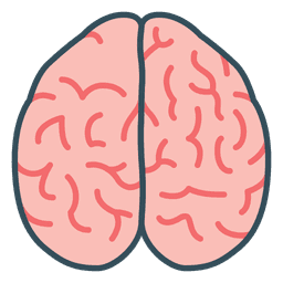 UNETR 2D - Medical Segmentation logo